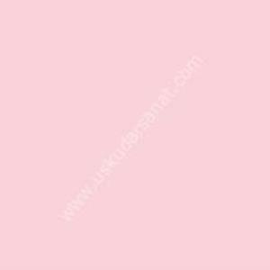 W.Newton BrushMarker Grafik Kalemi Pale Pink R519