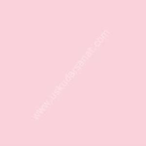 W.Newton BrushMarker Grafik Kalemi Pale Pink R519