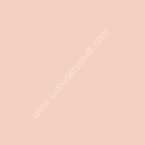 W.Newton BrushMarker Grafik Kalemi Putty O618