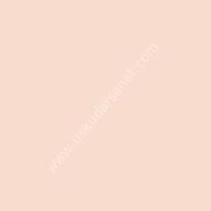 W.Newton BrushMarker Grafik Kalemi Satin Y129
