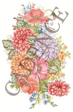 Oleg Kulakov Kolay Transfer 17X25 T-02