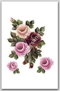 Cadence Hazır Transfer G-75 25X35