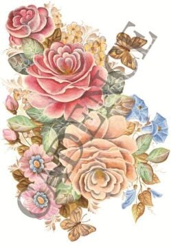 Oleg Kulakov Kolay Transfer 17X25 T-08