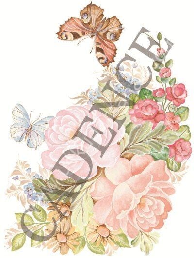 Oleg Kulakov Kolay Transfer 17X25 T-10