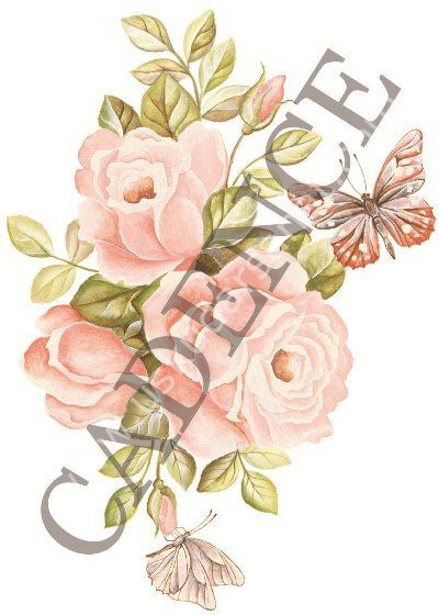 Oleg Kulakov Kolay Transfer 17X25 T-11