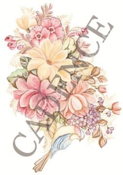 Oleg Kulakov Kolay Transfer 17X25 T-12