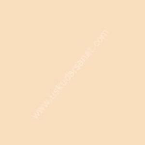 W.Newton BrushMarker Grafik Kalemi Blush O729