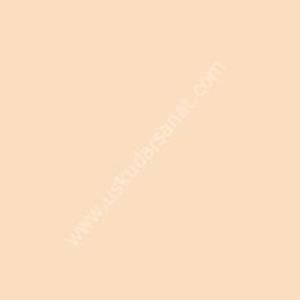 W.Newton BrushMarker Grafik Kalemi Blush O729