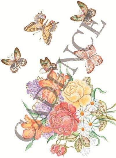 Oleg Kulakov Kolay Transfer 17X25 T-13