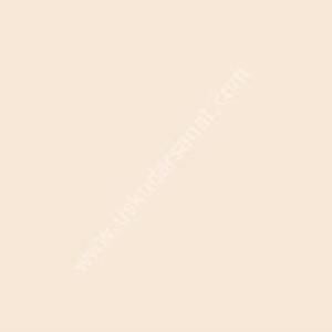 W.Newton BrushMarker Grafik Kalemi Almond O819