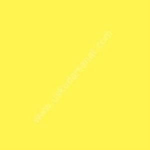W.Newton BrushMarker Grafik Kalemi Lemon Y747