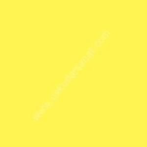 W.Newton BrushMarker Grafik Kalemi Lemon Y747