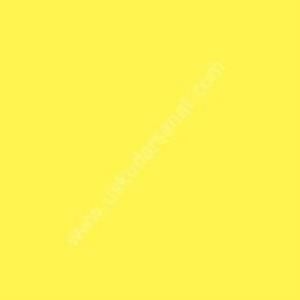 W.Newton BrushMarker Grafik Kalemi Lemon Y747