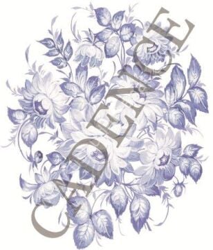 Oleg Kulakov Kolay Transfer 17X25 T-21