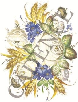 Oleg Kulakov Kolay Transfer 17X25 T-34