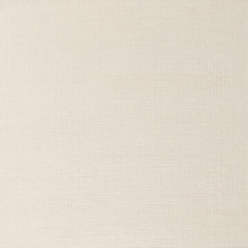 Winsor & Newton Winton Yağlı Boya 37 ml Iridescent White 330