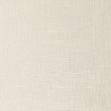 Winsor & Newton Winton Yağlı Boya 37 ml Iridescent White 330