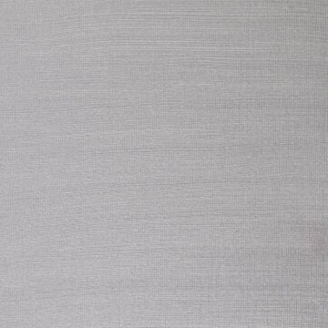 Winsor & Newton Winton Yağlı Boya 37 ml Silver 617