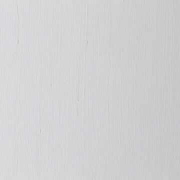Winsor & Newton Winton Yağlı Boya 37 ml Silver 617