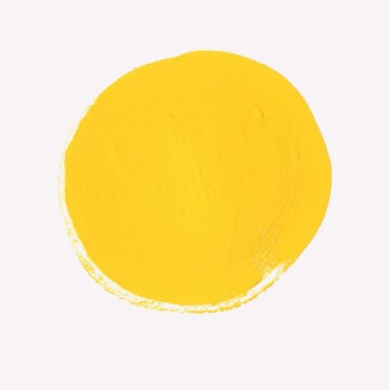 Talens Extra-Fine Designer Guaj Boya 16 ml Yellow 200