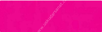 W&N DESIGNERS S.2-14ML. 028 BENGAL ROSE