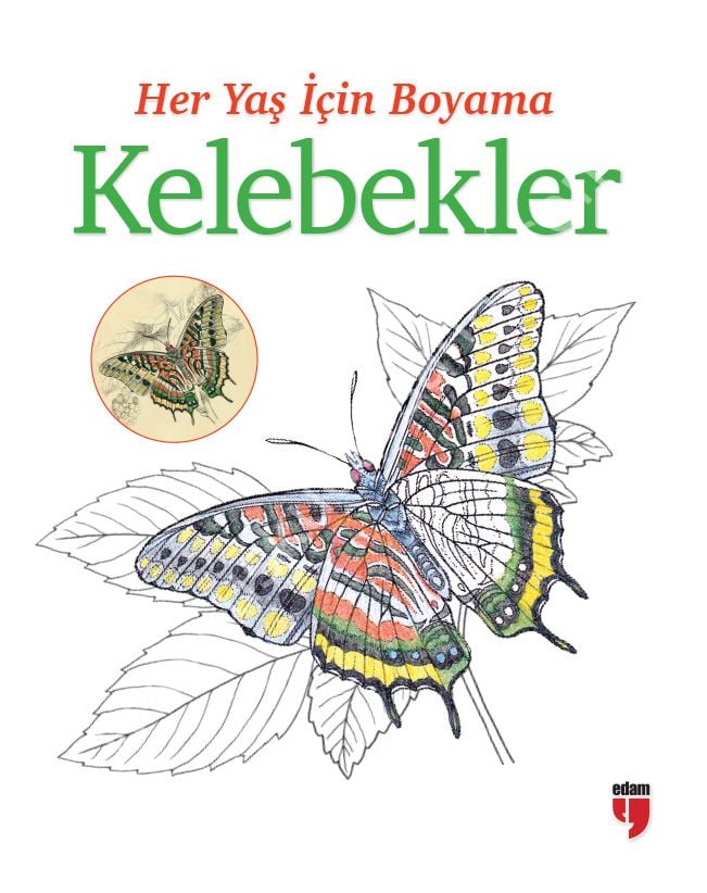 Her Yaş İçin Boyama Kelebekler