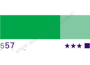 Schmincke HKS Designers Guaj Boya Tüp 20ml 557 leaf green