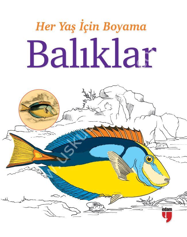 Her Yaş İçin Boyama Balıklar