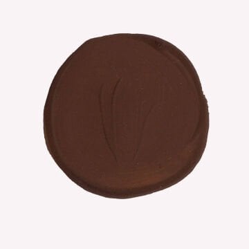 Talens Extra-Fine Designer Guaj Boya 16 ml Burnt Umber 409