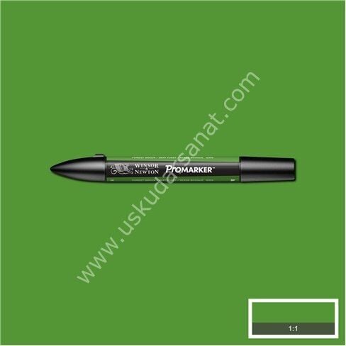 W.Newton Promarker Grafik Kalemi 068 Forest Green G356