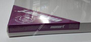 Monart Universal Seri Tuval 18x24
