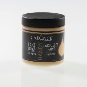 Cadence Handy Lake Boya Parlak 250ml 009 SOMON