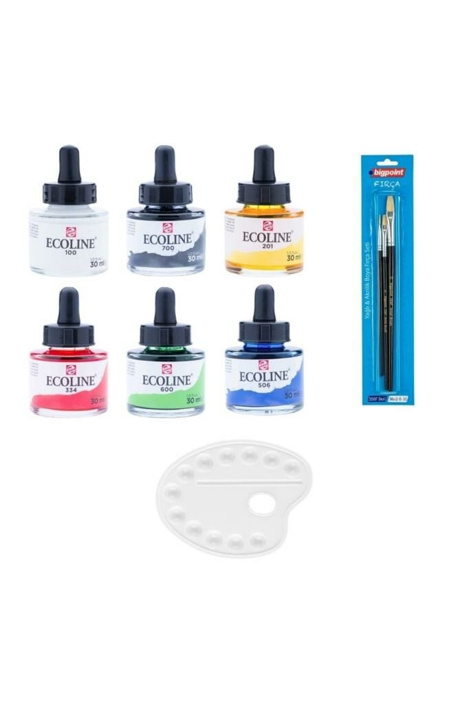 Ecoline Sıvı Suluboya Mürekkep 30ml Başlangıç Seti
