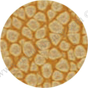 Pebeo Fantasy Prisme 45ml Summer  y e llow