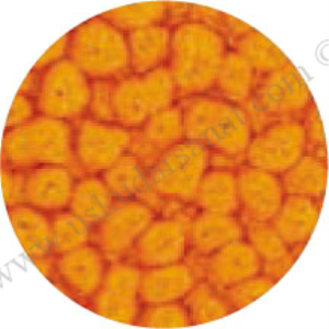 Pebeo Fantasy Prisme 45ml Buttercup