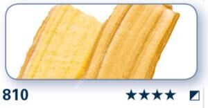 Schmincke College Yağlı Boya 200ml 810 GOLD