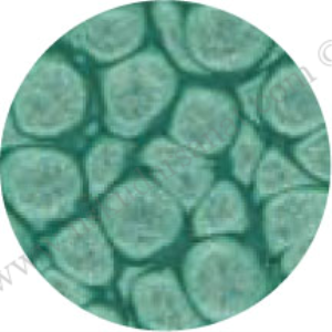 Pebeo Fantasy Prisme 45ml Almond green