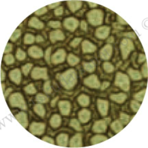 Pebeo Fantasy Prisme 45ml Green gold