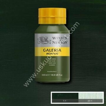 W.Newton Galeria Akrilik Boya 500ml 447 OLIVE GREEN