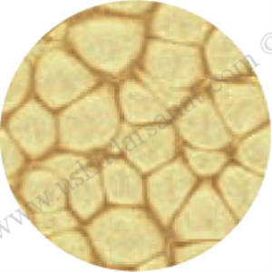 Pebeo Fantasy Prisme 45ml Antique gold