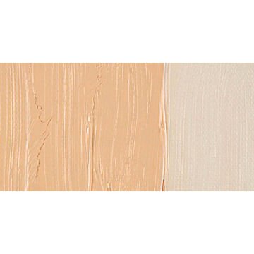 Van Gogh Yağlı Boya 40 ml Seri 1 Naples Yellow Red 224