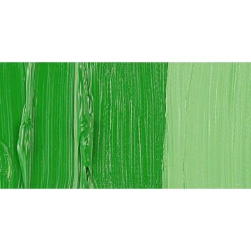 Van Gogh Yağlı Boya 40 ml Seri 1 Permanent Green Medium 614