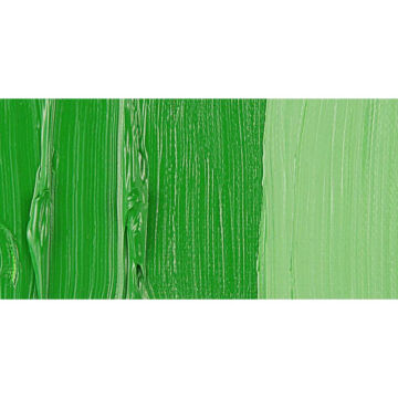Van Gogh Yağlı Boya 40 ml Seri 1 Permanent Green Medium 614