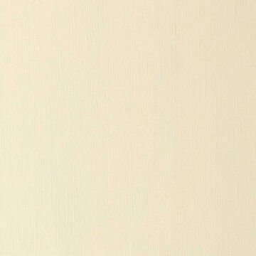 Winsor & Newton Winton Yağlı Boya 37 ml Azo Brown 389