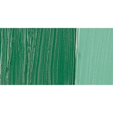 Van Gogh Yağlı Boya 40 ml Seri 2 Permanent Green Deep 619