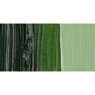 Van Gogh Yağlı Boya 40 ml Seri 1 Sap Green 623