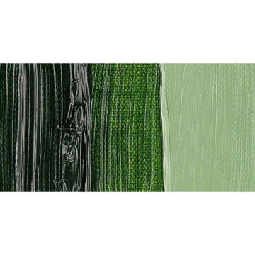 Van Gogh Yağlı Boya 40 ml Seri 1 Sap Green 623