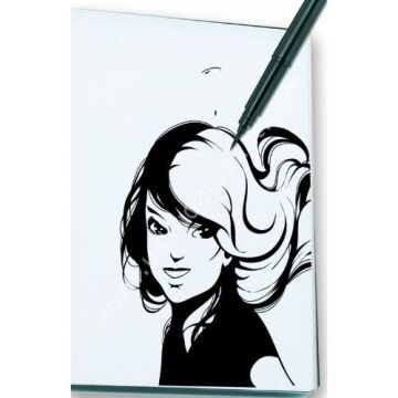 Pentel Arts Brush Pen + 2 Refil Yedek Set FP10