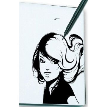 Pentel Arts Brush Pen + 2 Refil Yedek Set FP10