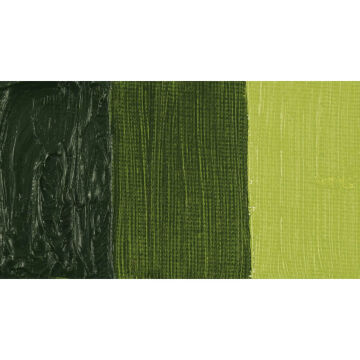 Van Gogh Yağlı Boya 40 ml Seri 2 Olive Green 620